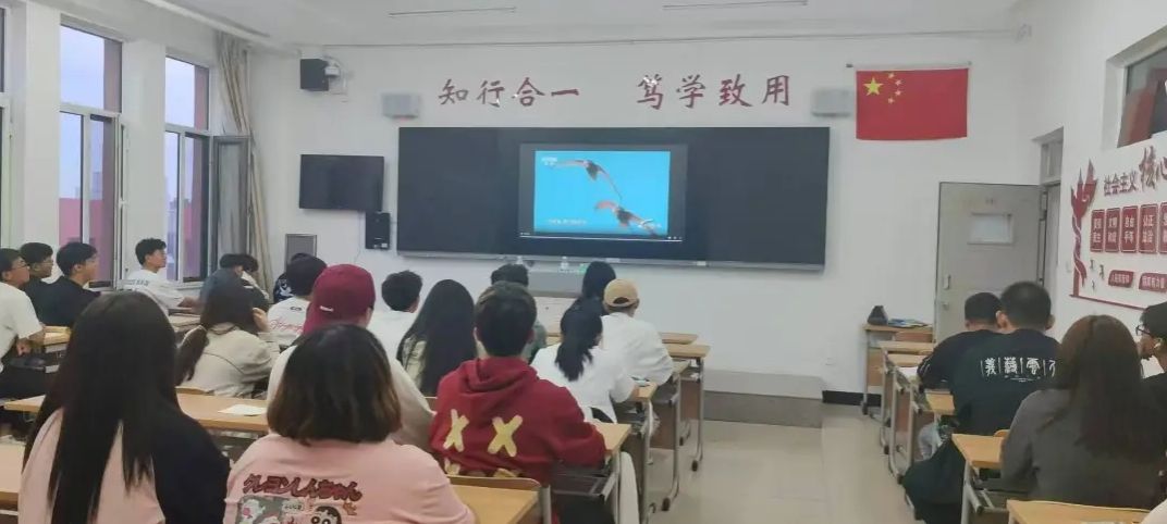image1.jpeg